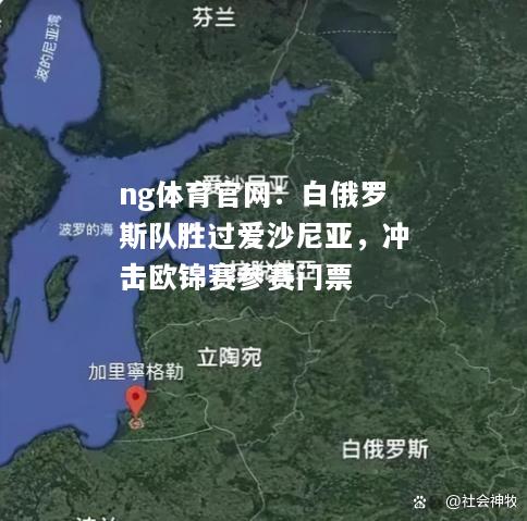 ng体育官网：白俄罗斯队胜过爱沙尼亚，冲击欧锦赛参赛门票