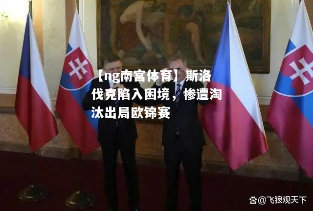 【ng南宫体育】斯洛伐克陷入困境，惨遭淘汰出局欧锦赛